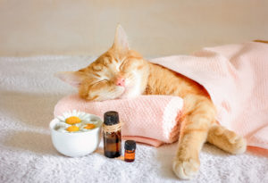 Massage beim Fasten